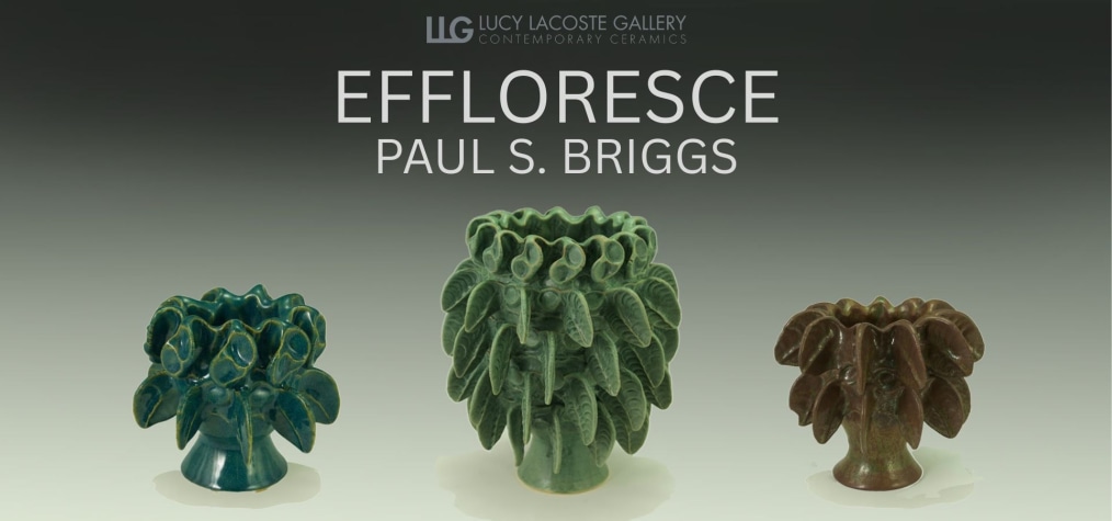 PAUL S. BRIGGS: EFFLORESCE