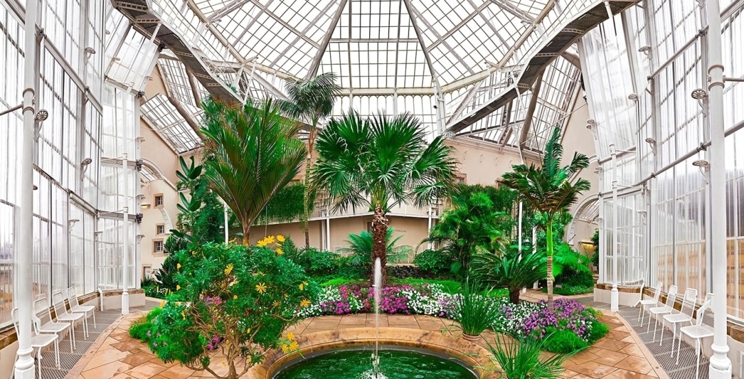 color photo of a white wright iron green house with palms and a fountain in the center.