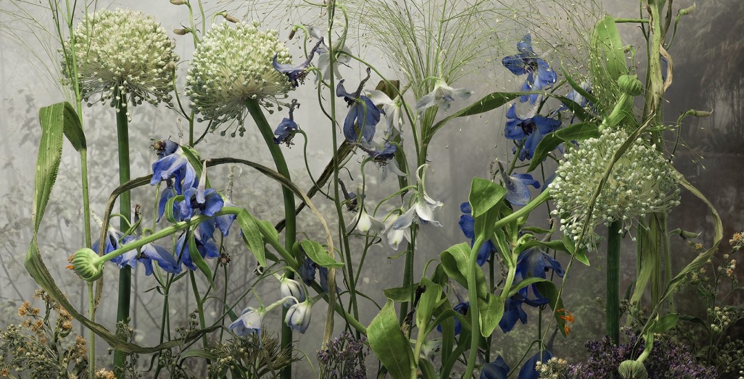 An Online Exhibition