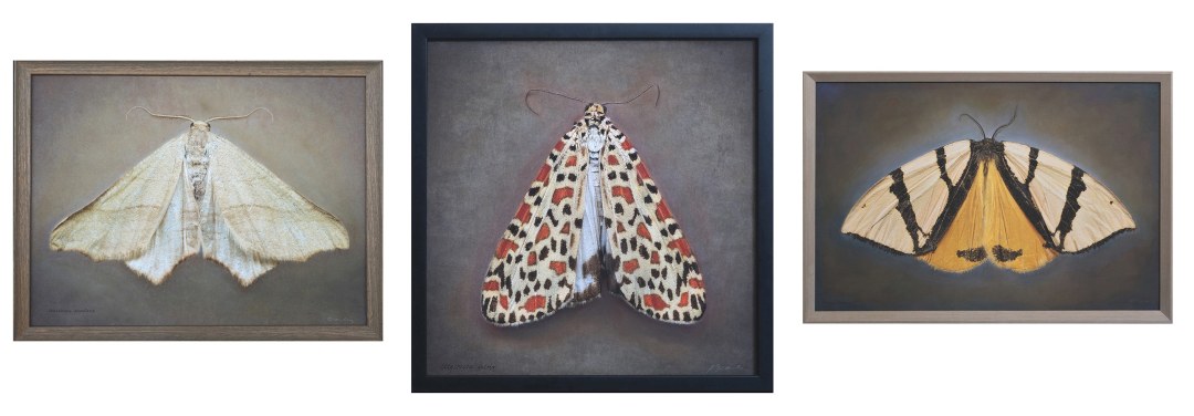 &nbsp;, September 13 - October 31