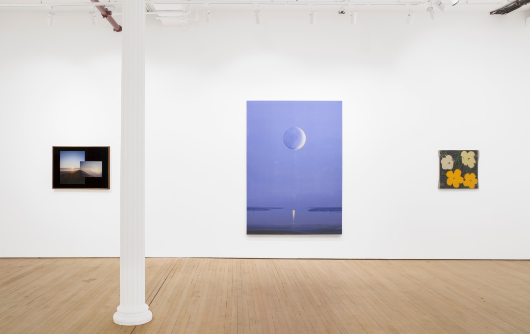 Installation view of "Superbloom"