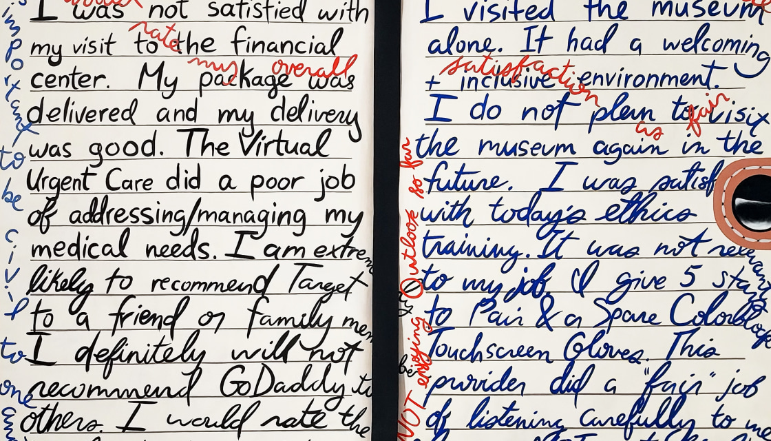 BECKY BROWN: Pleasure Reading