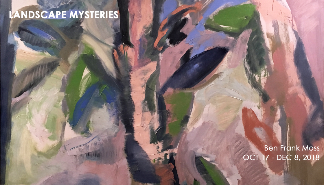 LANDSCAPE MYSTERIES