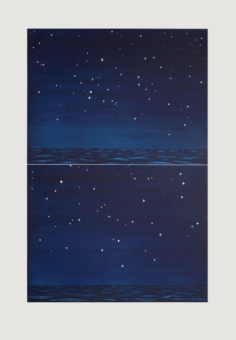 richard bosman night sky