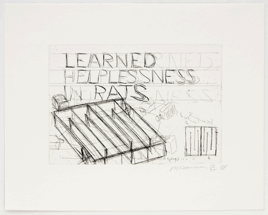 Learned Helplessness in Rats, 1988 