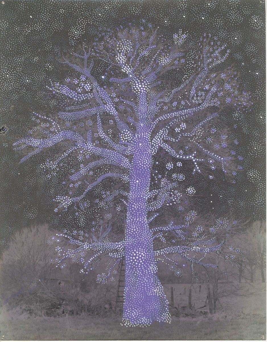 Dietmar Busse, Purple Magic Garden, 2024