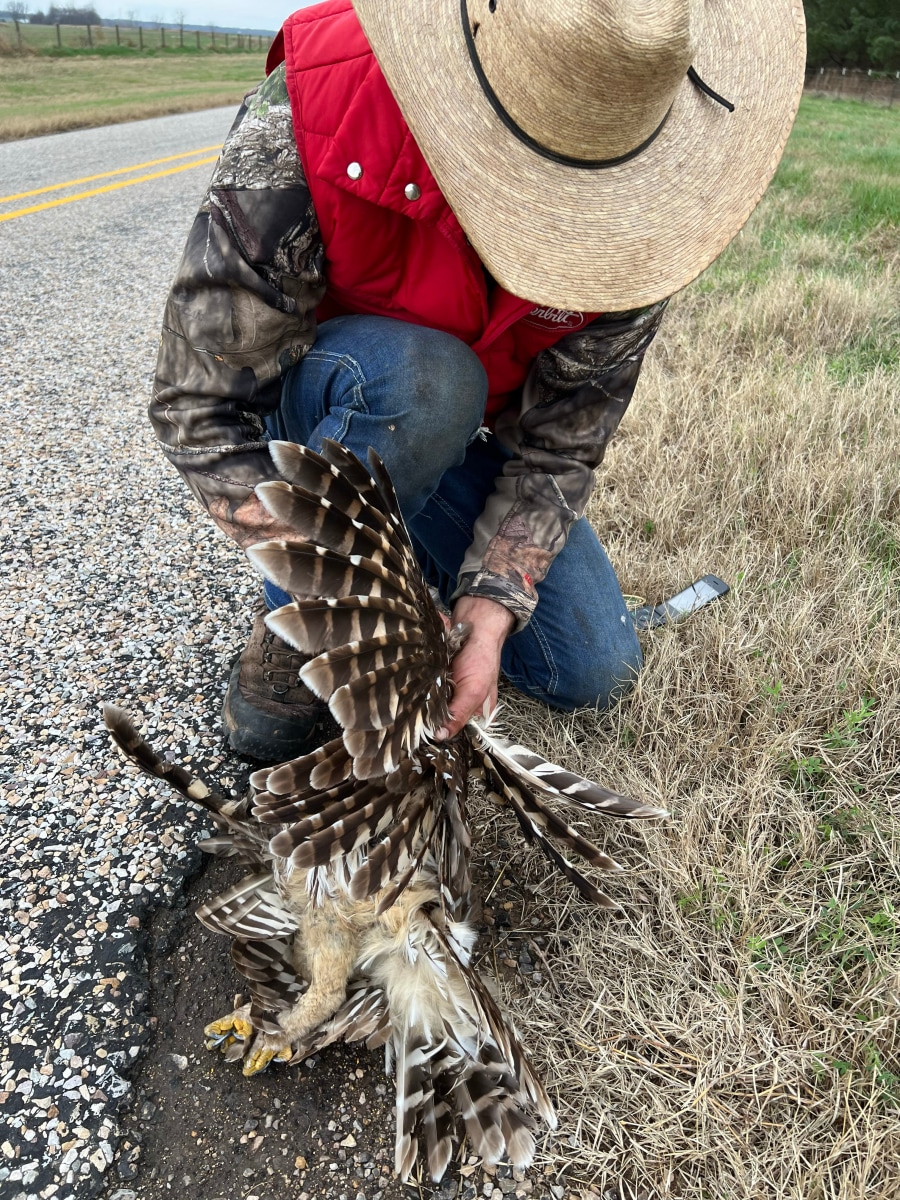 Chivas Clem, Cole with Dead Hawk, 2021