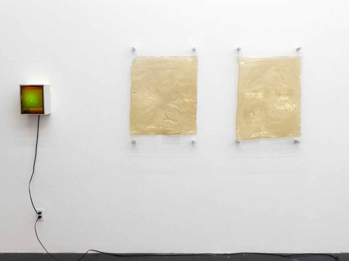 Installation View of Lael Corbin: Greetings from Earth