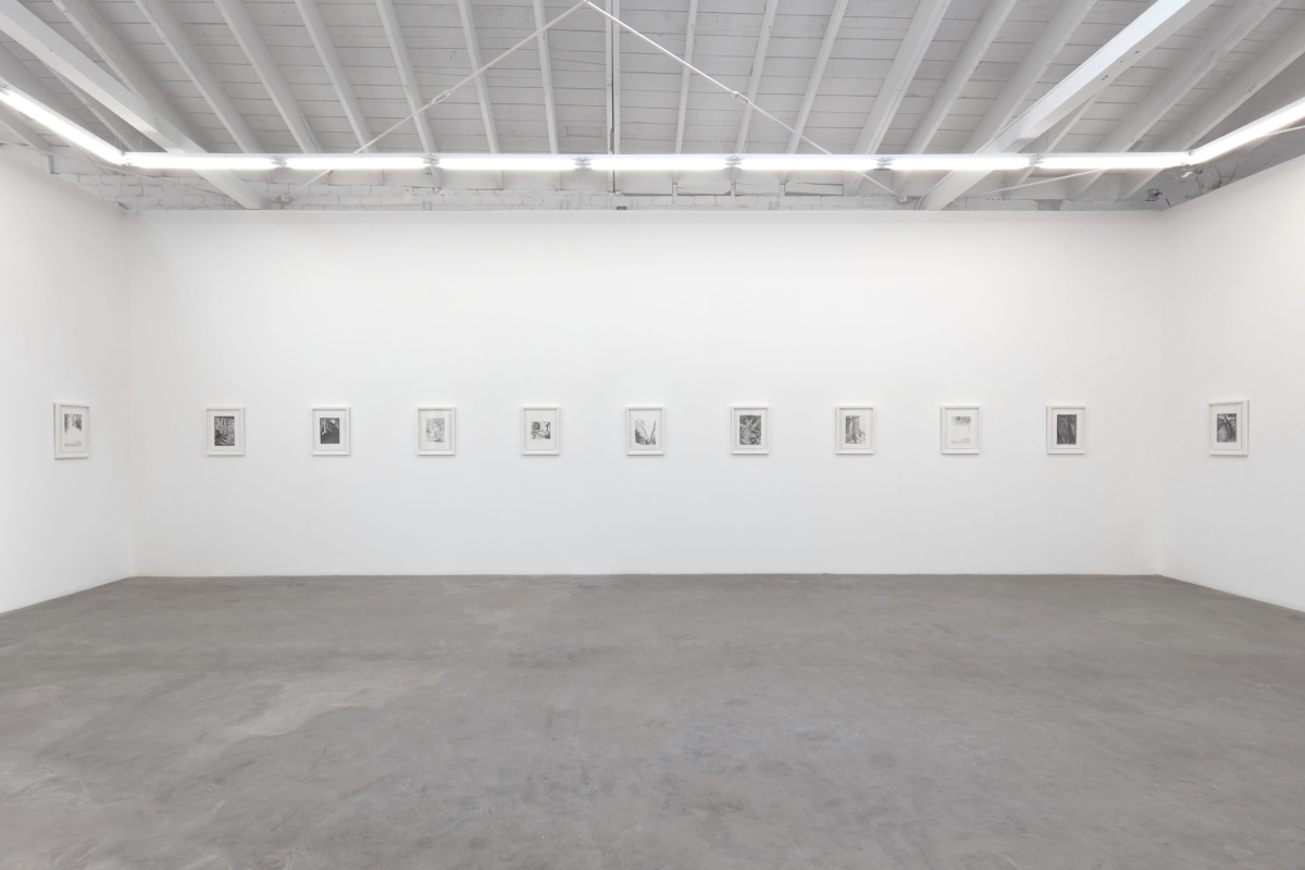 Ken Gonzales-Day, Another Land, 2022, Installation View 2
