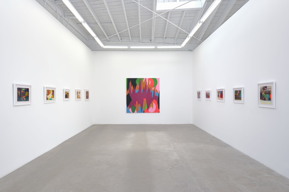 Installation view 1 of Lavi Daniel: The Fruits of an Enigma