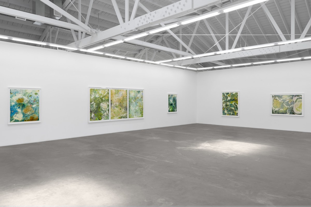 Installation view of Melissa Huddelston: Primordial Spring,&nbsp;June 22 - August 3, 2024