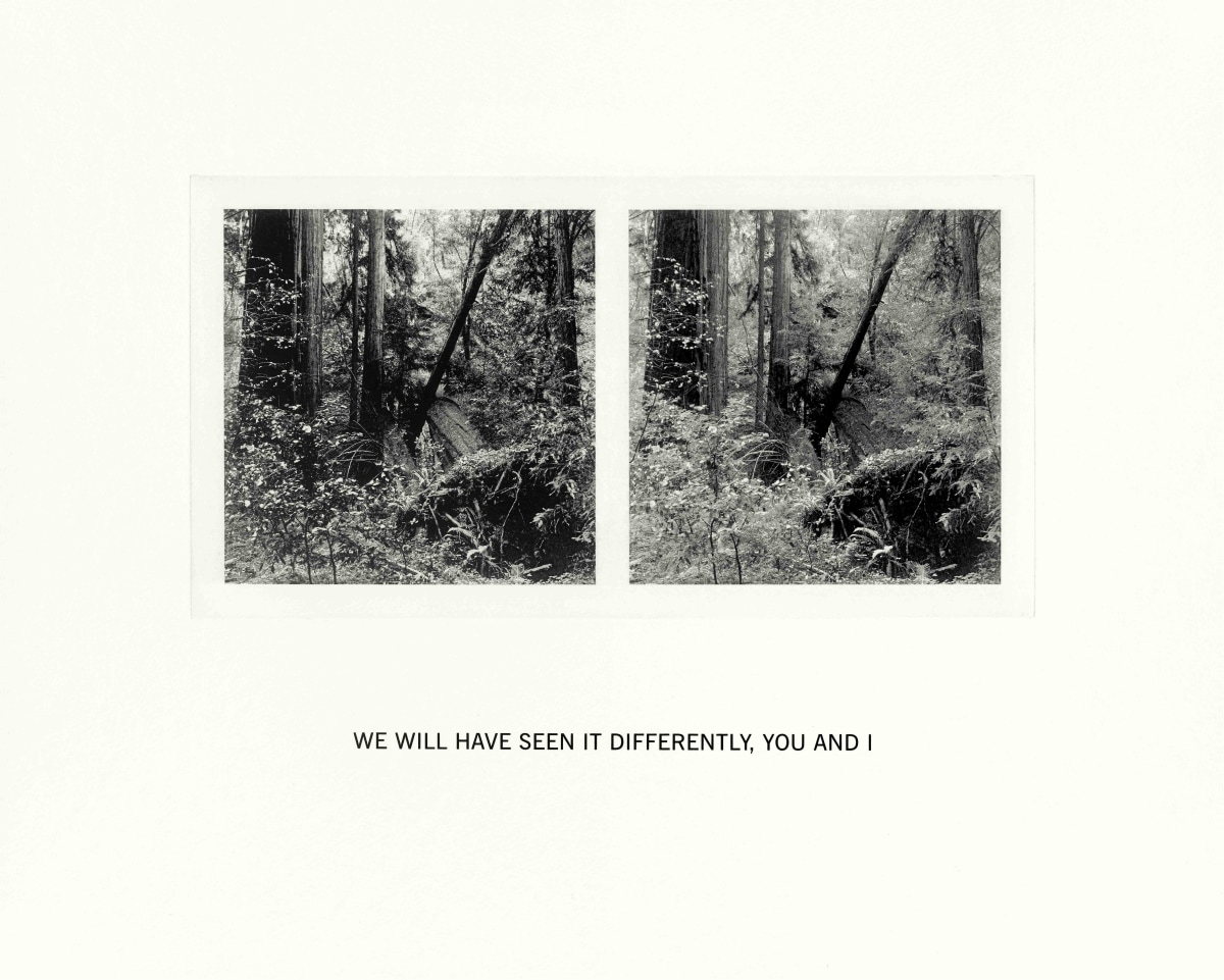 Susan Silton We Will Have Seen It Differently, You and I, 2020