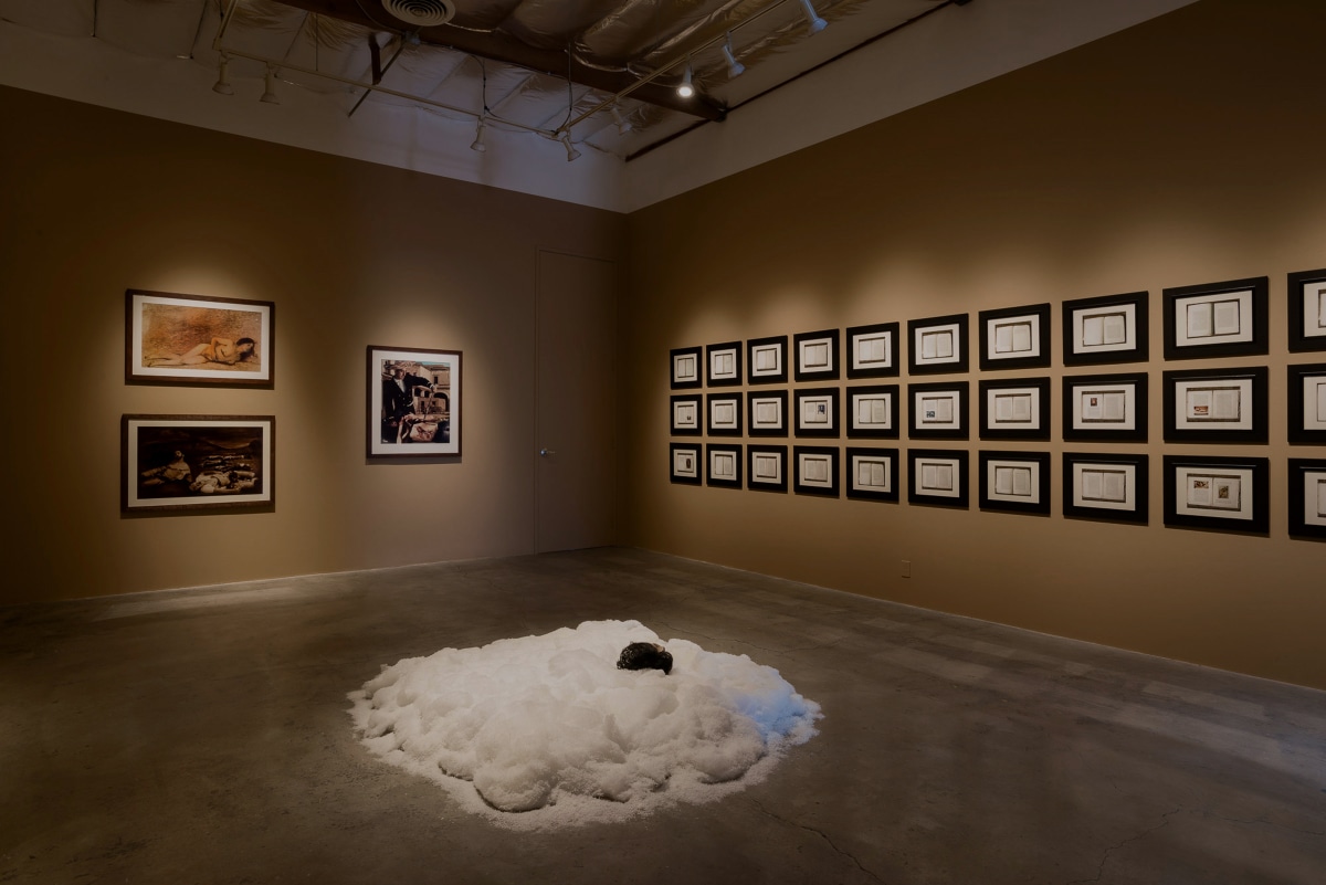 Installation View of Ken Gonzales-Day: Bone-Grass Boy: The Secret Banks of the Conejos River