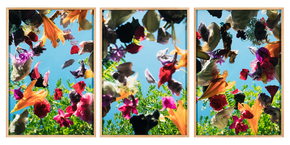 Andr&eacute; Hemer, Phenomena (Sicilian Garden, June 4, 18:20&mdash;18:34 CEST), 2022, C-print on Fuji Flex with oak frame, 28 x 19 in. Each panel, 29 x 57 in. Overall dimensions, Edition of 1 + AP