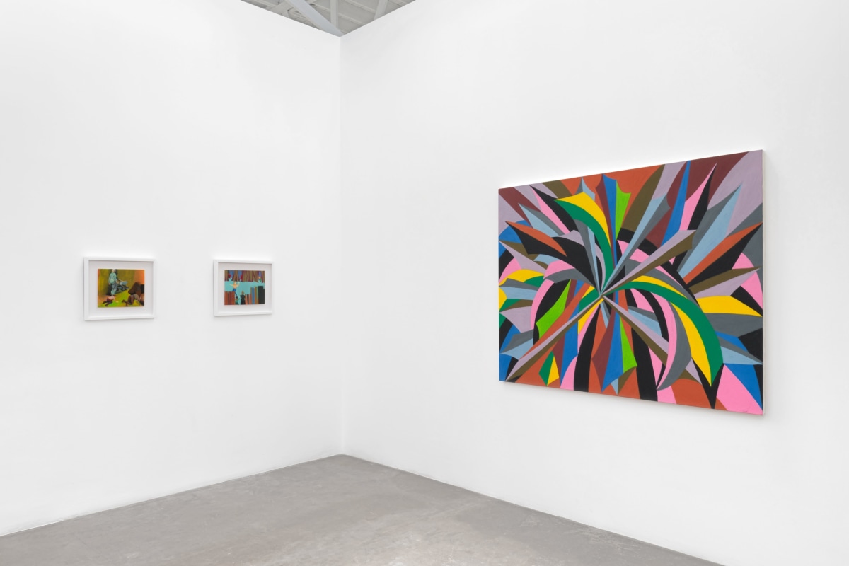 Installation view 9 of Lavi Daniel: The Fruits of an Enigma
