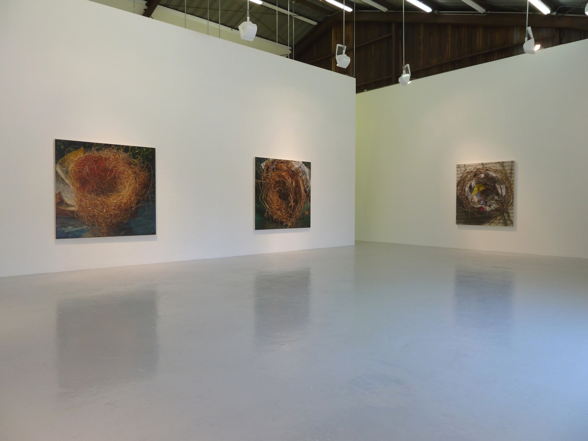 Exhibition View of Gail Roberts: Entanglement