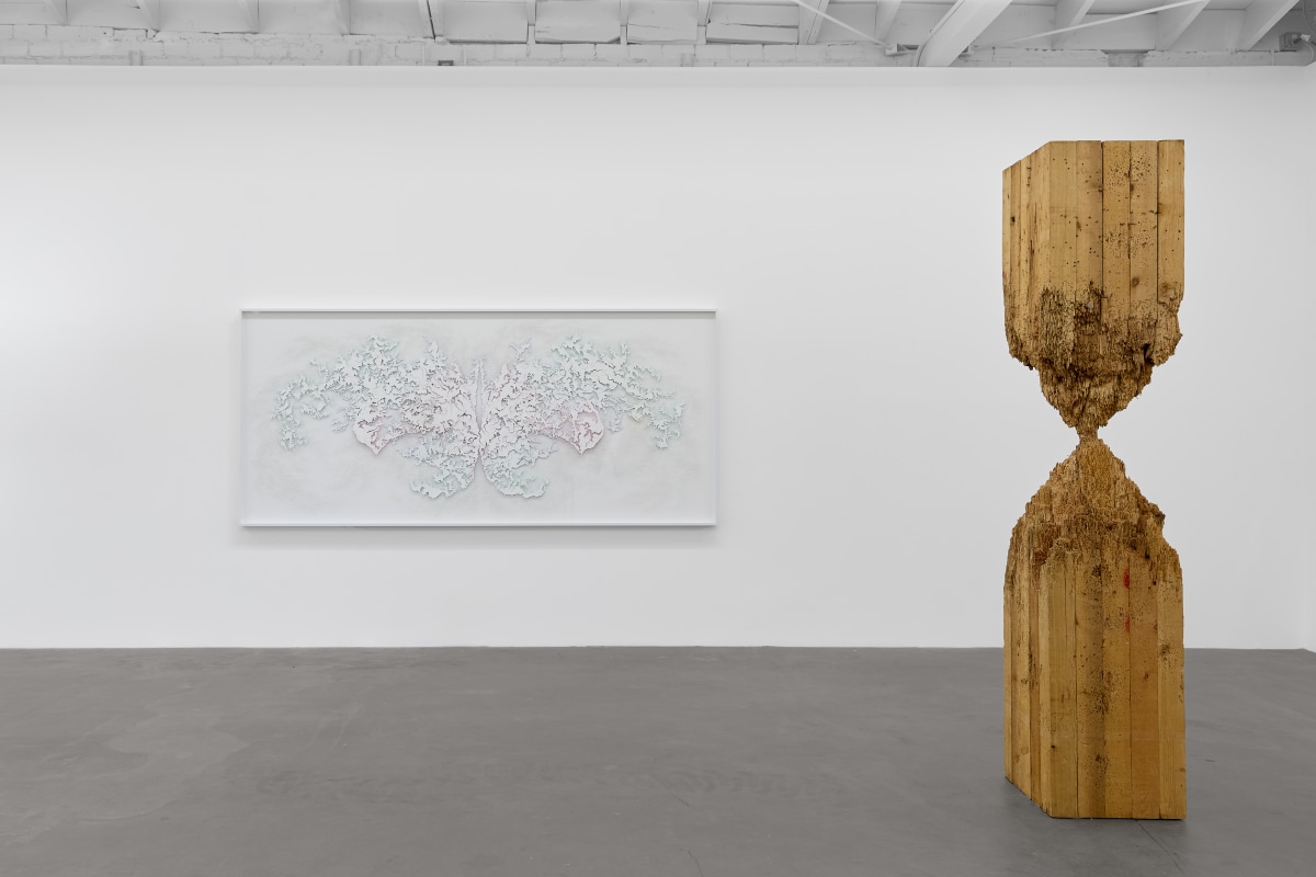 Installation view of&nbsp;CUT &ndash; Six Artists on the Edge, on view November 9 &ndash; December 21, 2024