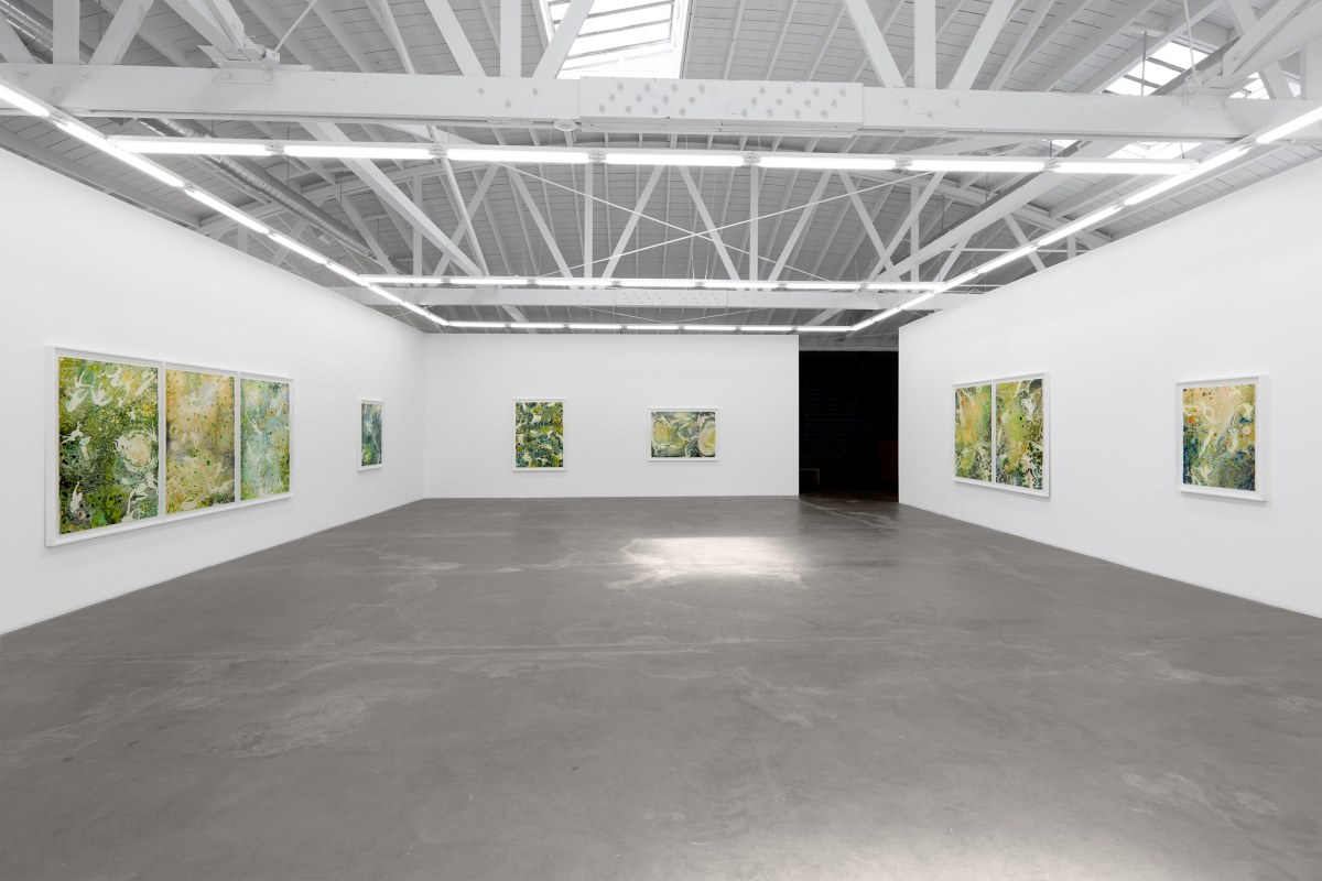 Installation view of Melissa Huddelston: Primordial Spring,&nbsp;June 22 - August 3, 2024