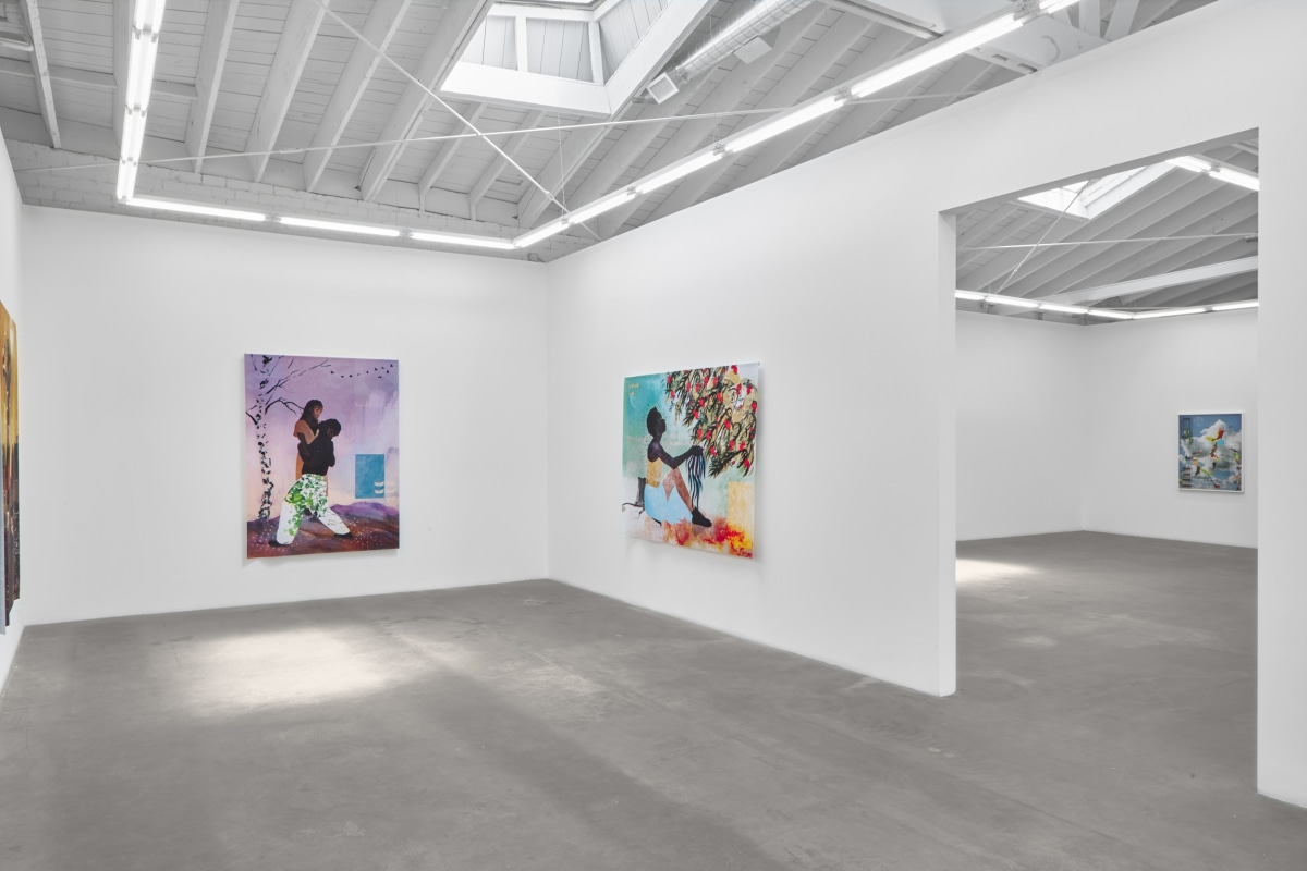 Installation view of Carla Jay Harris: Flight