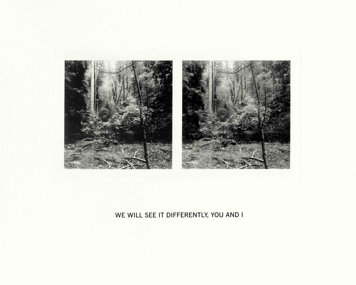 Susan Silton We Will See It Differently, You and I, 2020