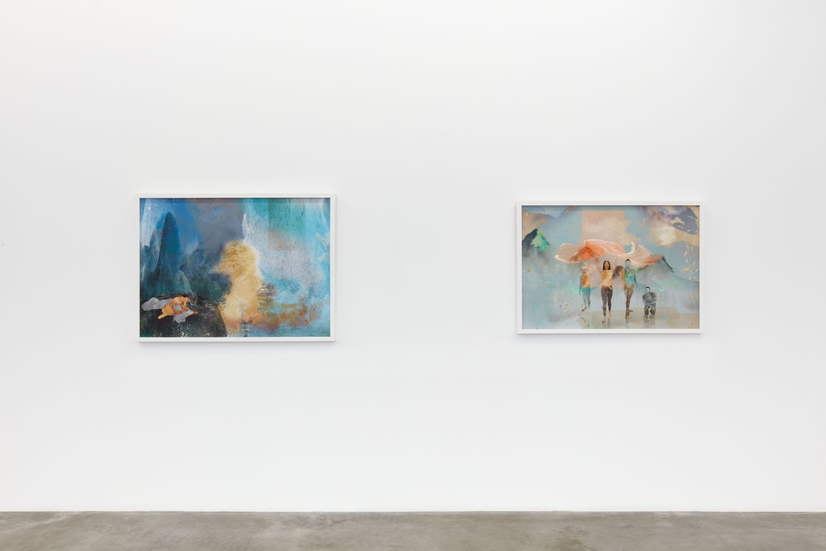 Installation view of Carla Jay Harris: A Season in the Wilderness_Image 7
