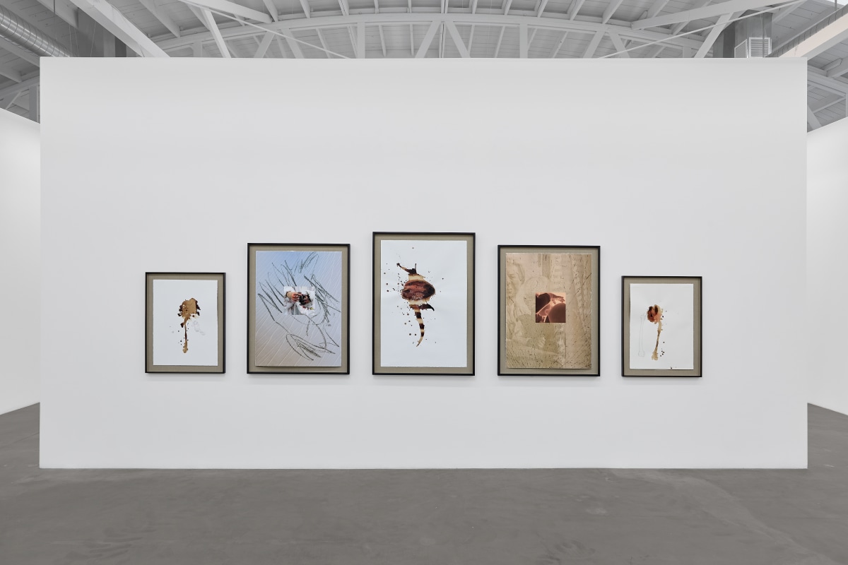 Installation view of MARGARET MORGAN: Love Must Be Reinvented, on view January 11 &ndash; February 22, 2025