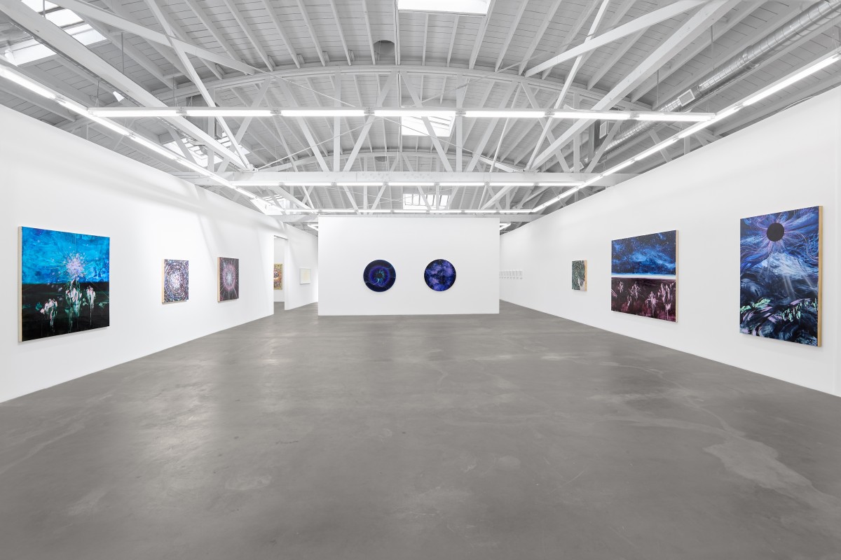 Installation view of&nbsp;LIA HALLORAN: Night Watch, on view November 9 &ndash; December 21, 2024