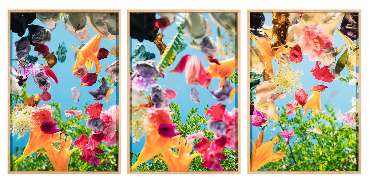 Andr&eacute; Hemer, Phenomena (Sicilian Garden, June 4, 17:56&mdash;18:19 CEST), 2022, C-print on Fuji Flex with oak frame, 28 x 19 in. Each panel, 29 x 57 in. Overall dimensions, Edition of 1 + AP
