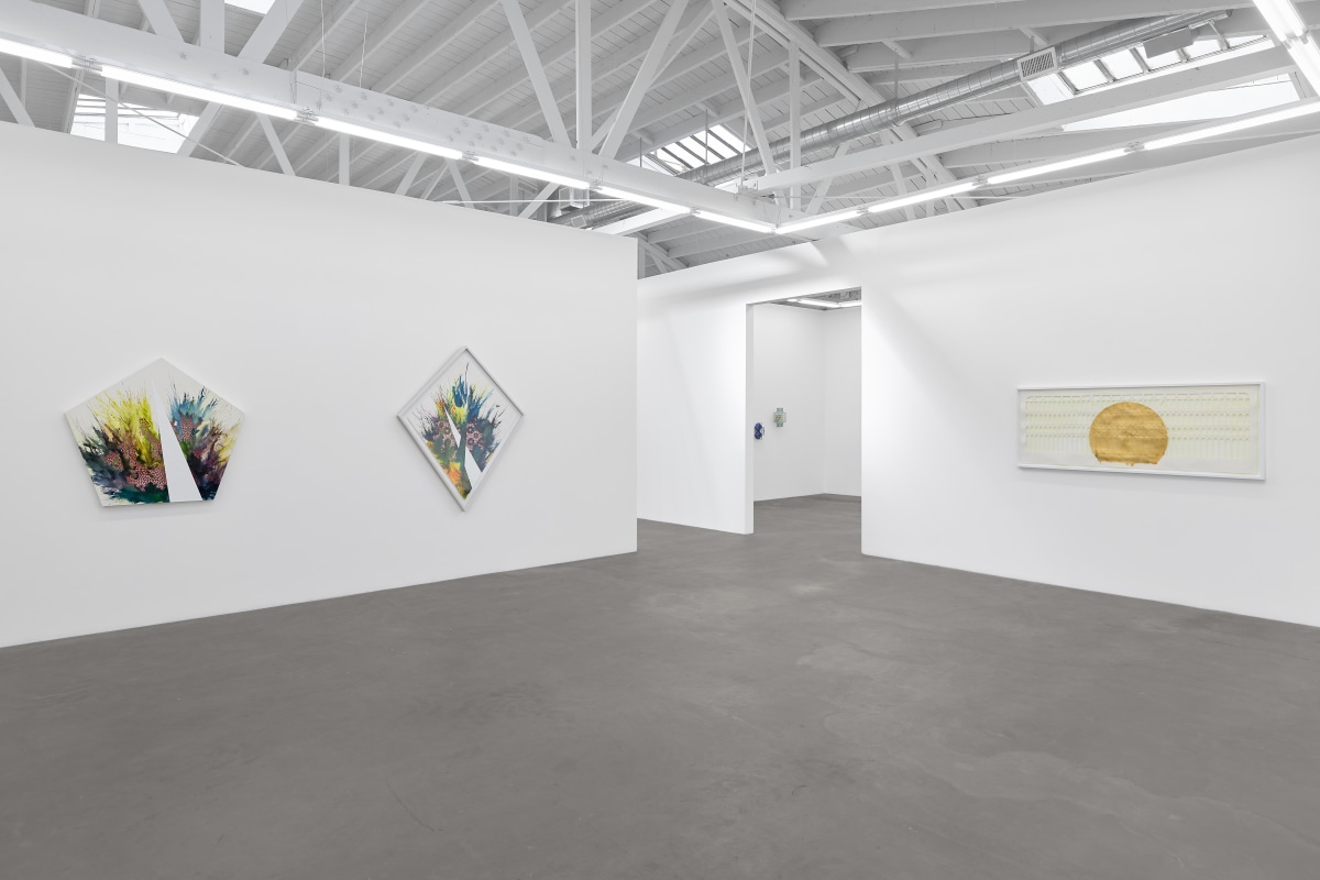 Installation view of&nbsp;CUT &ndash; Six Artists on the Edge, on view November 9 &ndash; December 21, 2024