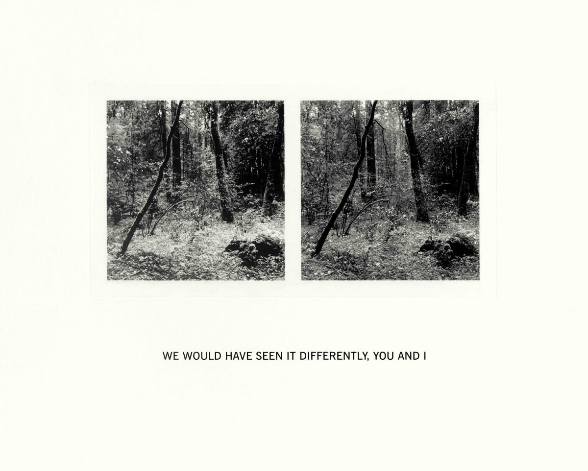 Susan Silton We Would Have Seen It Differently, You and I, 2020