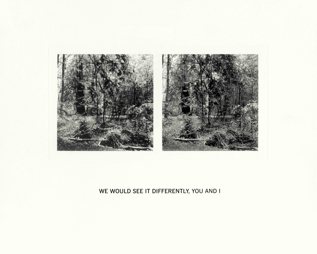 Susan Silton We Would See It Differently, You and I, 2020