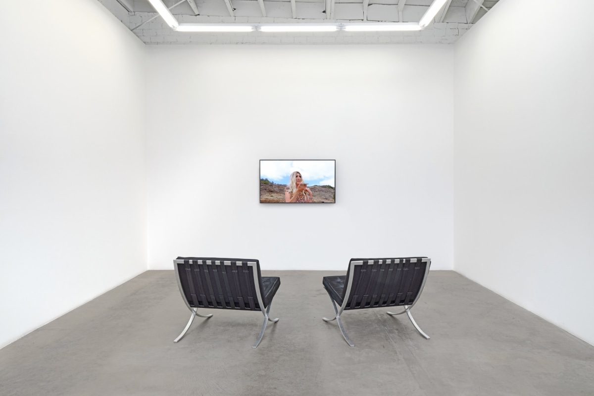 Installation view of Jean Lowe, Light and Space