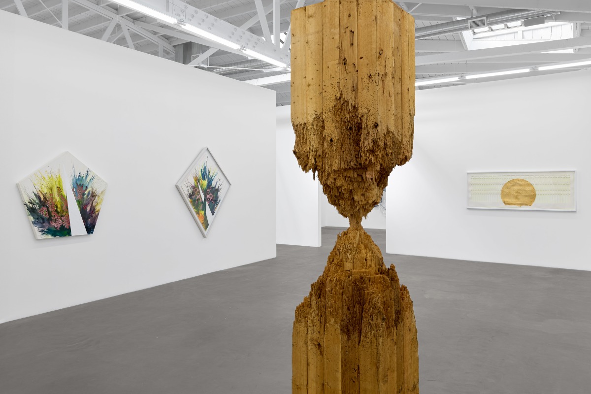 Installation view of&nbsp;CUT &ndash; Six Artists on the Edge, on view November 9 &ndash; December 21, 2024