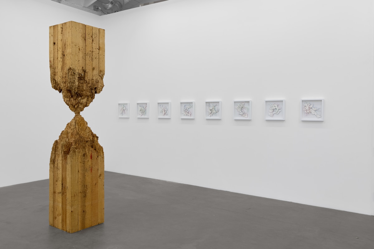 Installation view of&nbsp;CUT &ndash; Six Artists on the Edge, on view November 9 &ndash; December 21, 2024