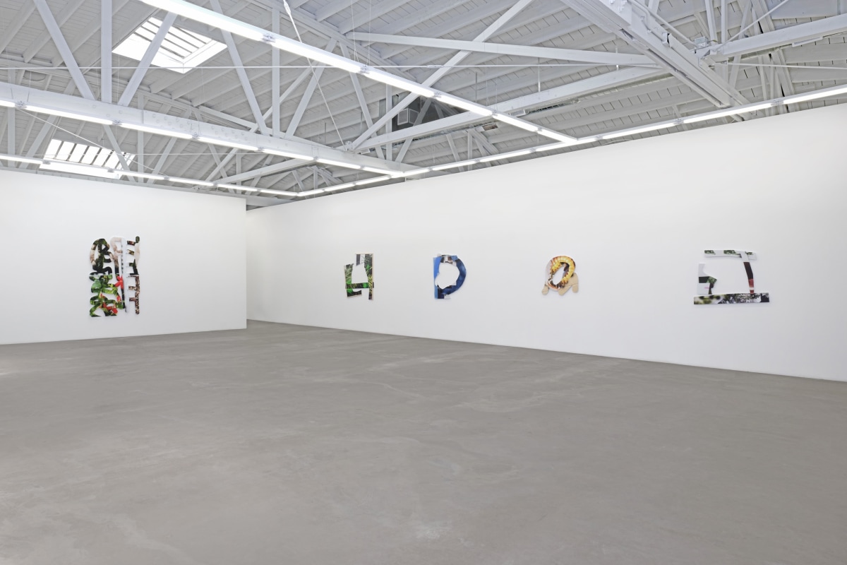Installation view 1 of Kate Bonner: The space in things