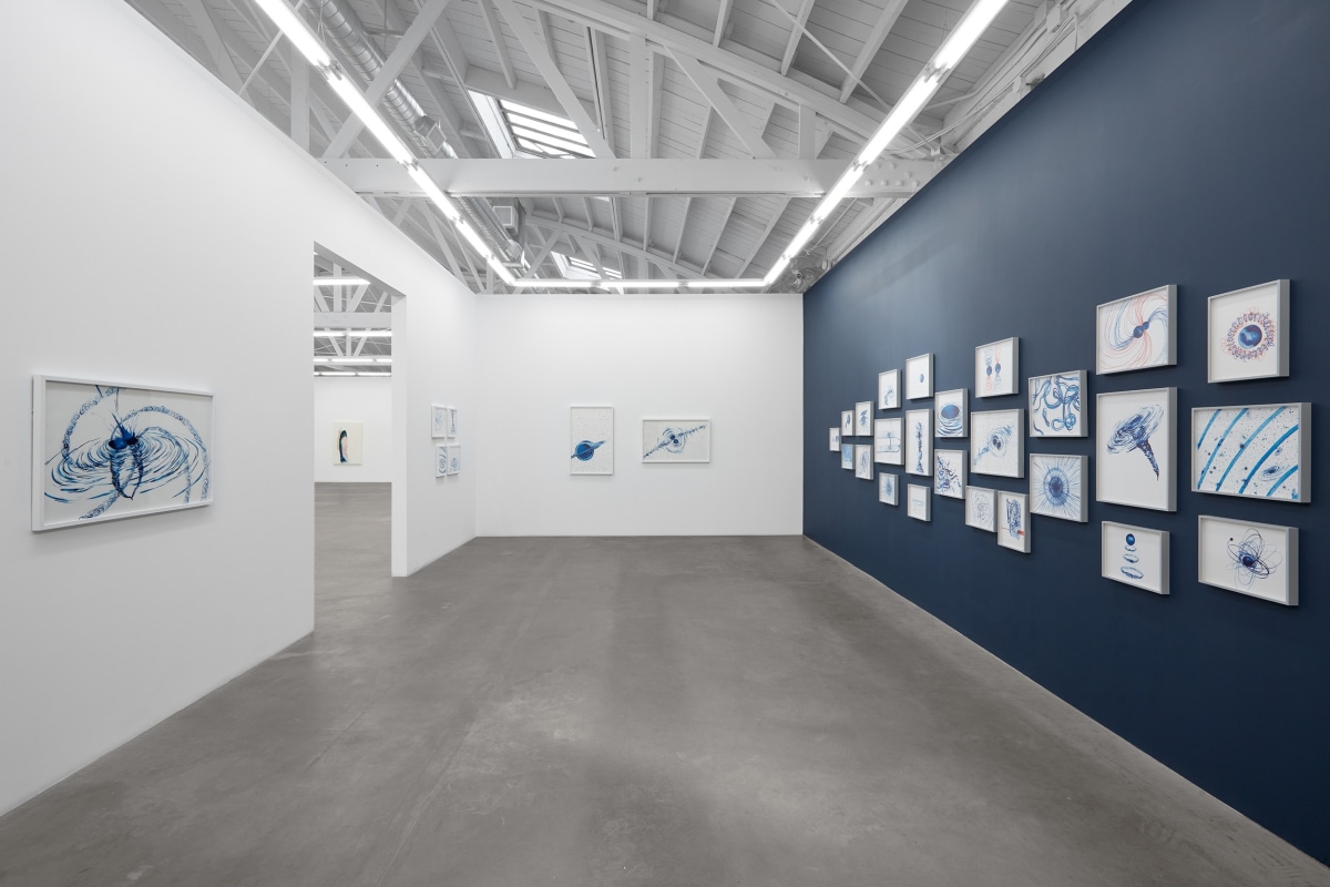 Installation view of&nbsp;Lia Halloran: Warped Side, on view from November 4 - December 22, 2023