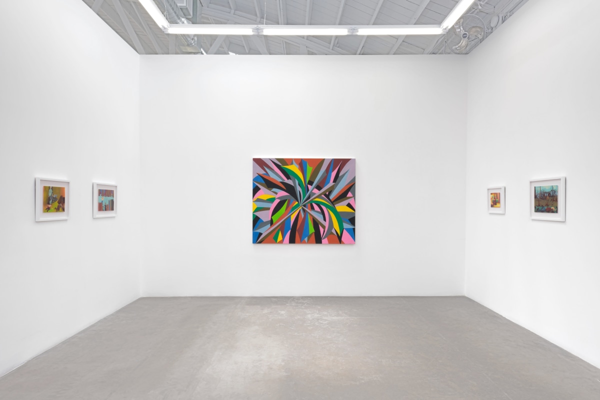 Installation view 8 of Lavi Daniel: The Fruits of an Enigma