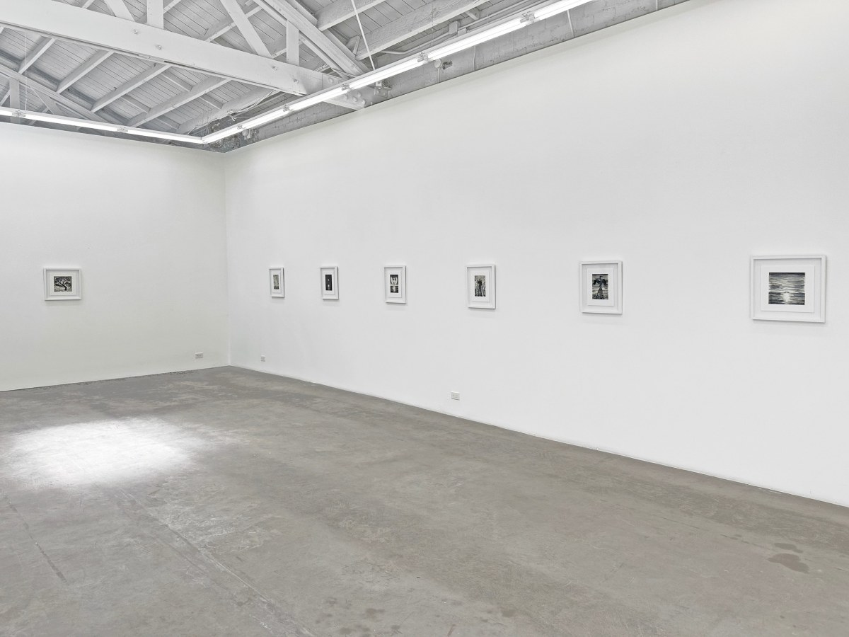 Installation view of ERIK OLSON: The Mountain and the Sea, on view June 17 - August 5, 2023