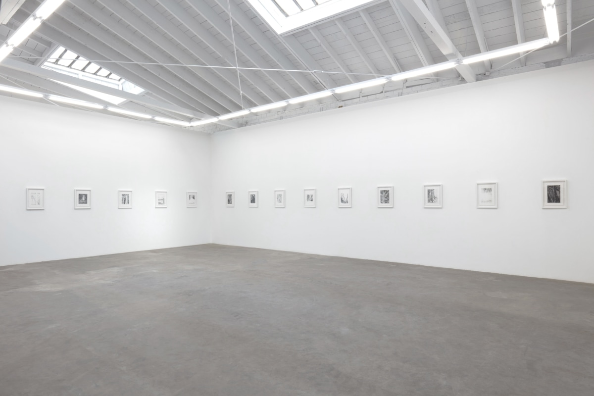 Ken Gonzales-Day, Another Land, 2022, Installation View 3