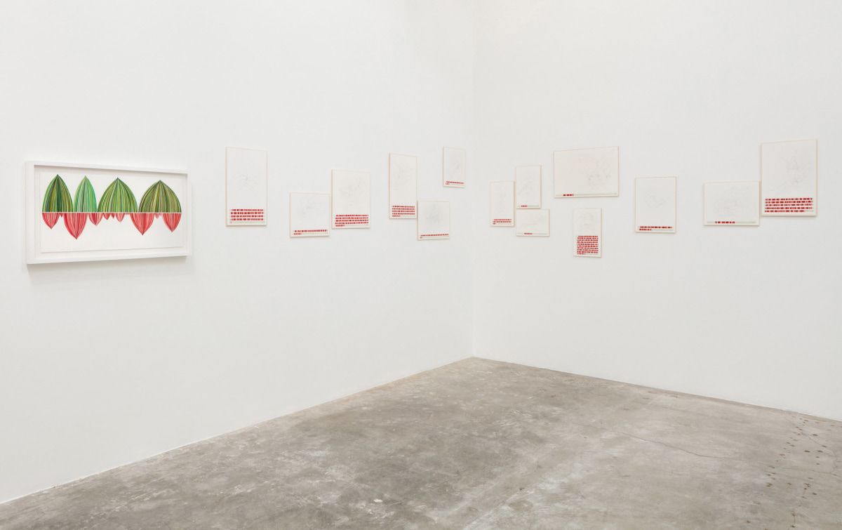 Installation view of Danica Phelps: Many Drops Fill a Bucket