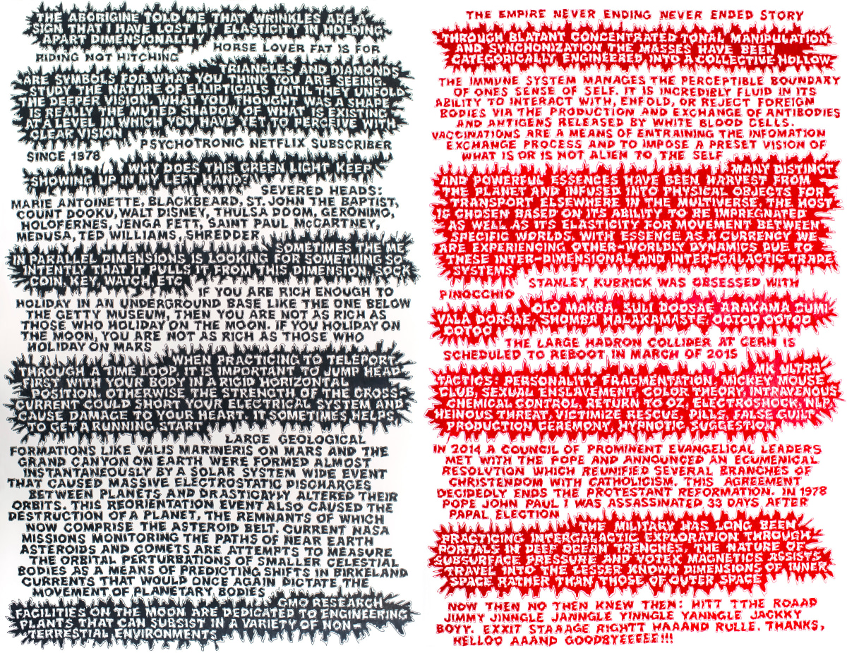 Dennis Koch and Talitha Wall, Catch-22, 2015, color pencil on paper, two panels, each 77 x 50.5 inches