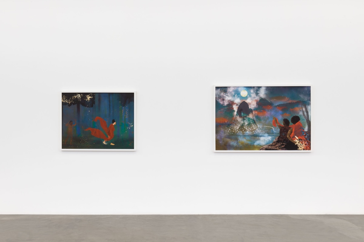 Installation view of Carla Jay Harris: A Season in the Wilderness_Image 9