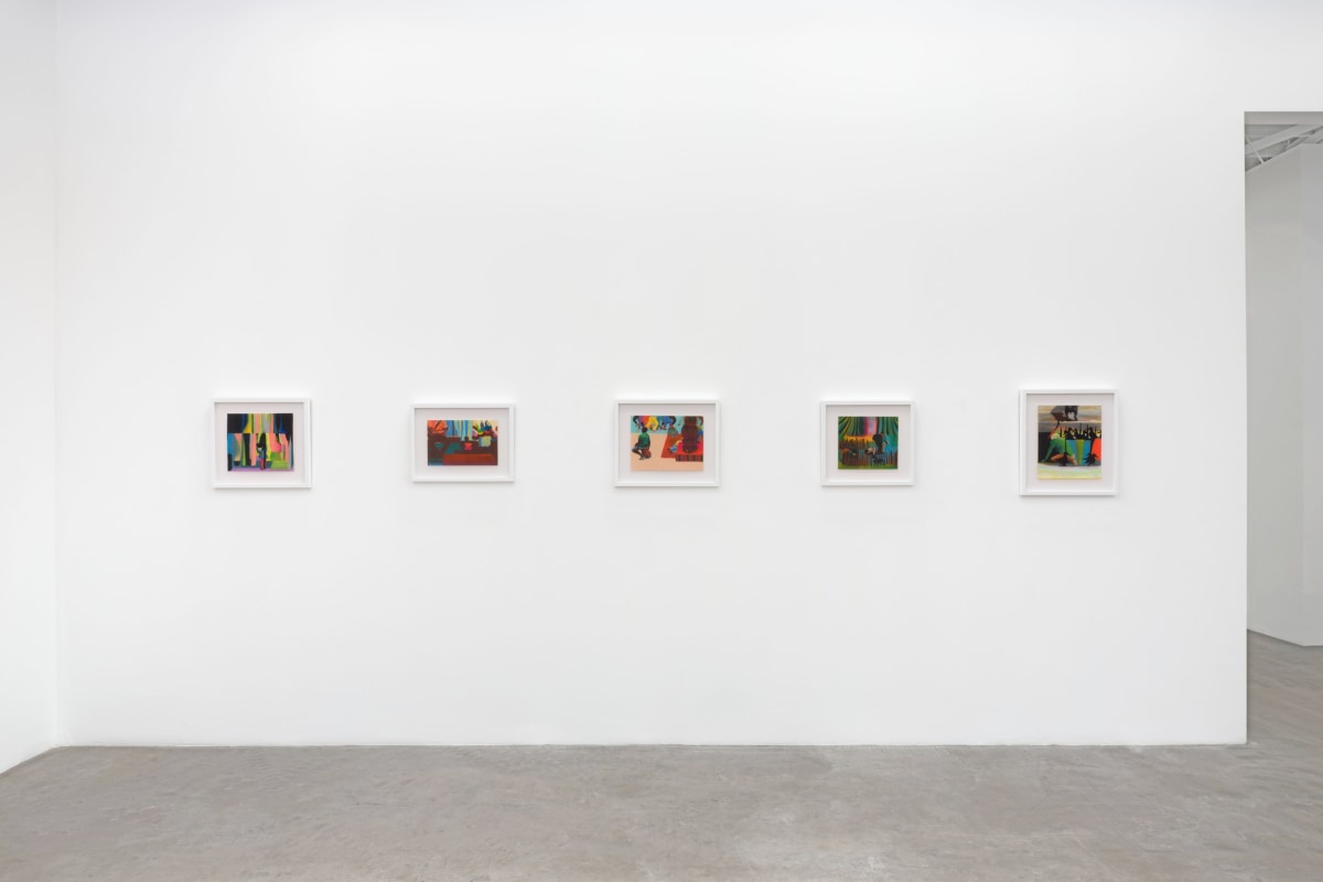Installation view 7 of Lavi Daniel: The Fruits of an Enigma