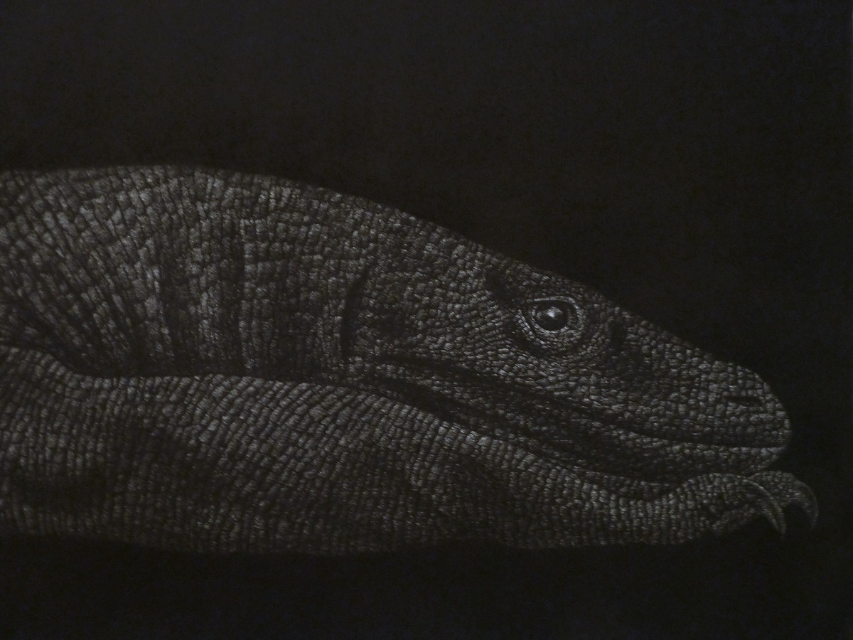Marisol Rend&oacute;n I'm Just a Lizard?, 2013  ​Charcoal on paper 24'' x 120''