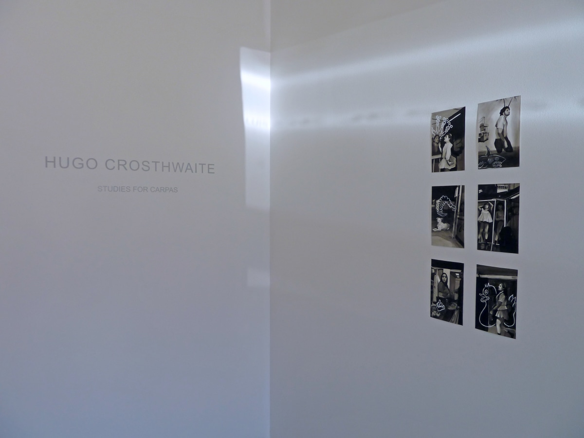 Installation View of Hugo Crosthwaite: Studies for Carpas
