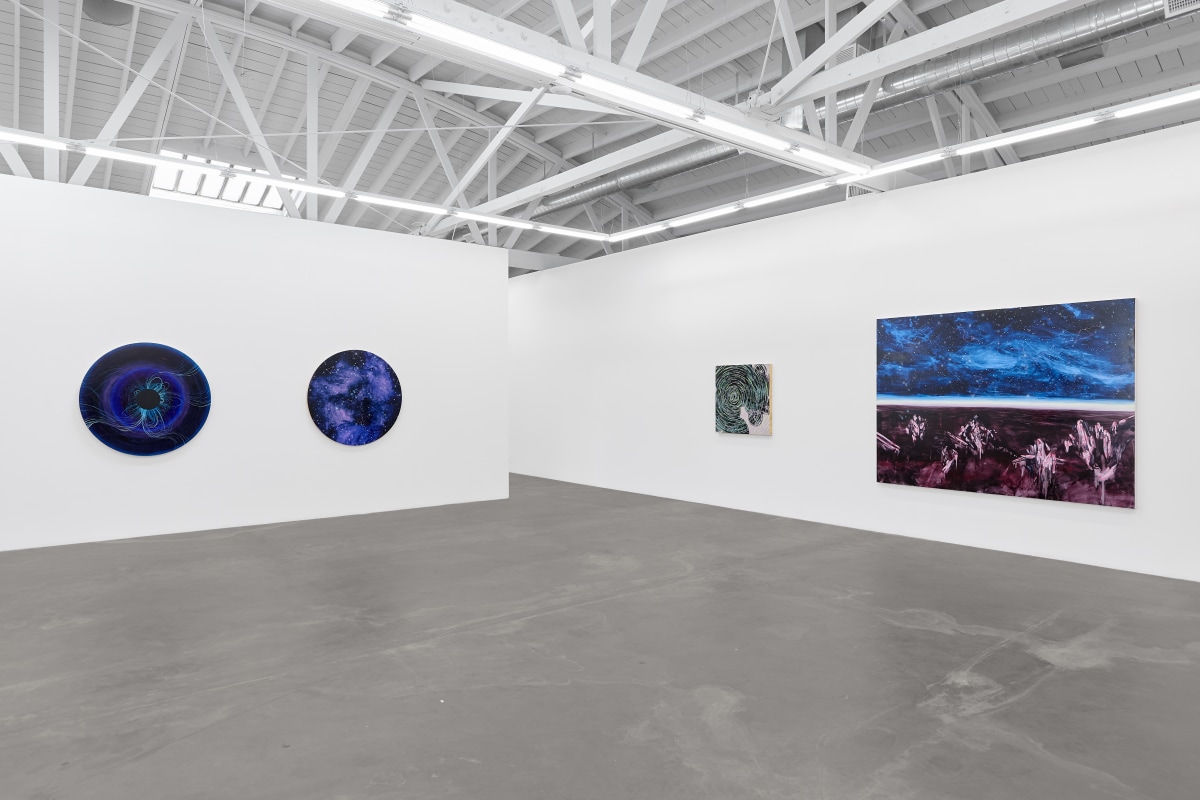 Installation view of&nbsp;LIA HALLORAN: Night Watch, on view November 9 &ndash; December 21, 2024