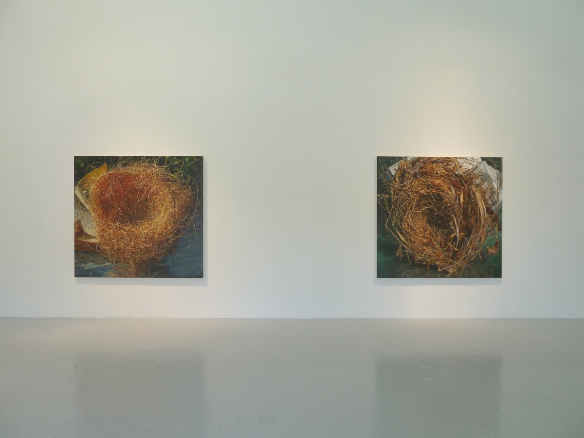 Installation View of Gail Roberts: Entanglement