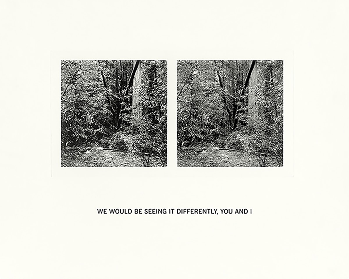 Susan Silton We Would Be Seeing It Differently, You and I, 2020