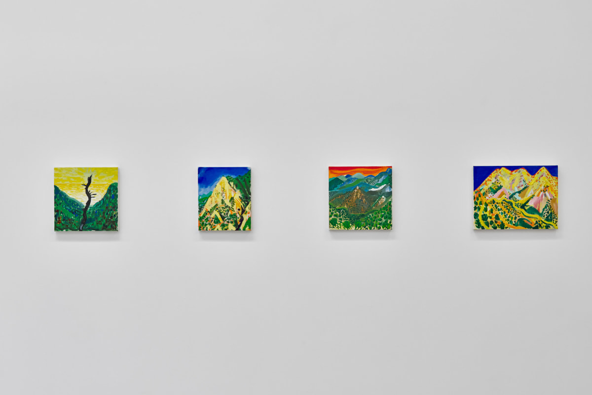 Installation view of ERIK OLSON: The Mountain and the Sea, on view June 17 - August 5, 2023