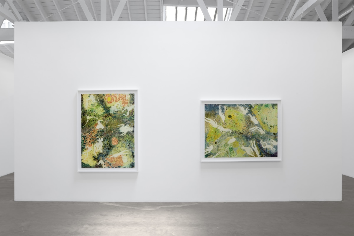 Installation view of Melissa Huddelston: Primordial Spring,&nbsp;June 22 - August 3, 2024